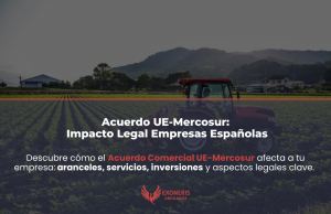 Comercio exterior entre empresas españolas y países del Mercosur Argentina Brasil
